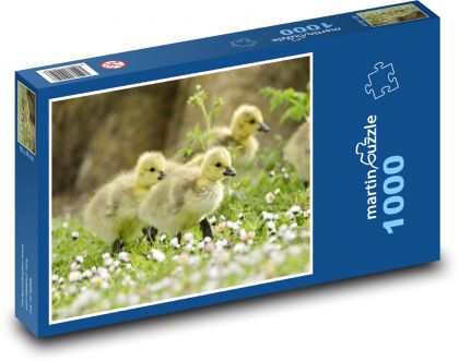Káčatko - kačice - Puzzle 1000 dielikov, rozmer 60x46 cm
