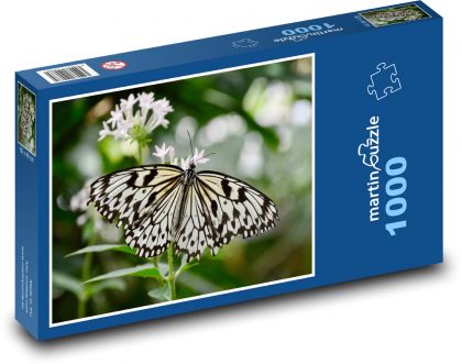 Schmetterling auf einer Blume - Frühling - Puzzle - 1000 Teile