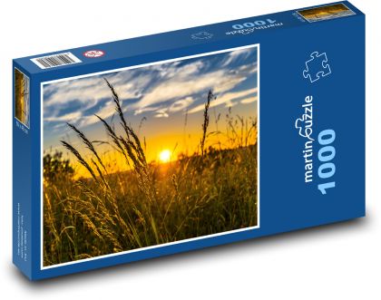 Wheat in the field - sunset - Puzzle 1000 pieces, size 60x46 cm 
