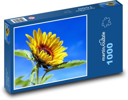 Rozkvetlá slunečnice - puzzle 1000 dílků