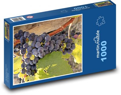 Wine - grapes, vines - Puzzle 1000 pieces, size 60x46 cm 