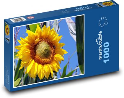 Gelbe Sonnenblume - Puzzle - 1000 Teile