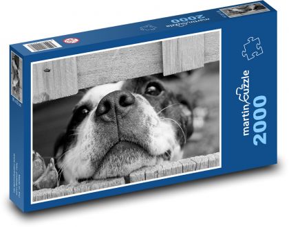 Pes - Puzzle 2000 dielikov, rozmer 90x60 cm 