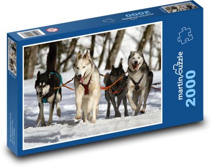 Pes - Husky - Puzzle 2000 dílků, rozměr 90x60 cm