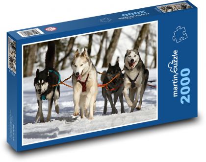 Pes - huskies - Puzzle 2000 dielikov, rozmer 90x60 cm 