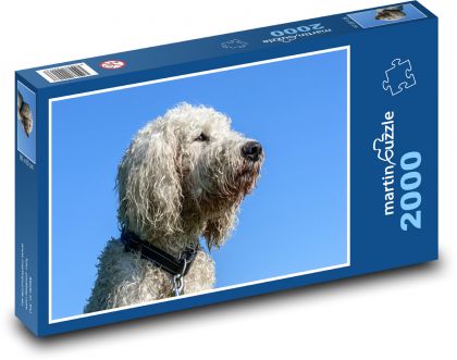 Přátelský pes - Goldendoodle - Puzzle 2000 dílků, rozměr 90x60 cm