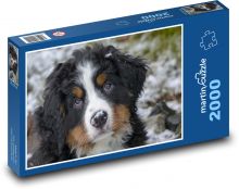 Niedlicher Berner Sennenhundwelpe Puzzle 2000 Teile - 90 x 60 cm