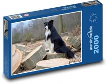 Border kólie v lese Puzzle 2000 dielikov - 90 x 60 cm