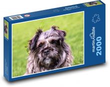 Ein pelziger Hund beim Spaziergang Puzzle 2000 Teile - 90 x 60 cm