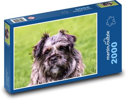 Ein pelziger Hund beim Spaziergang - Puzzle - 2000 Teile