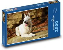Biały pies na skale, owczarek szwajcarski Puzzle 2000 elementów - 90x60 cm