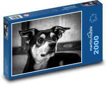 Puzzle pre milovníkov psov, čiernobiely portrét Puzzle 2000 dielikov - 90 x 60 cm