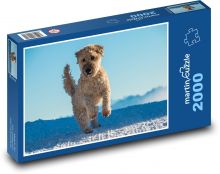 Running dog in the snow, Goldendoodle Puzzle 2000 pieces - 90 x 60 cm