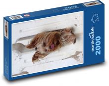 Yorkshire Terrier with tongue sticking out - dog Puzzle 2000 pieces - 90 x 60 cm