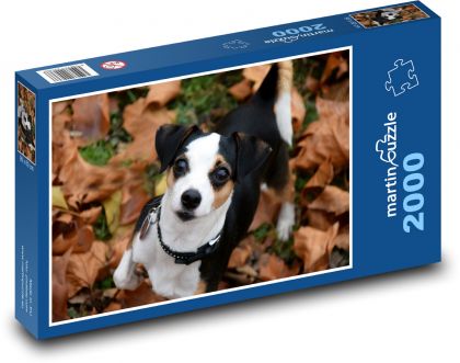 Herbstfreude - ein Hund in Blättern - Puzzle - 2000 Teile
