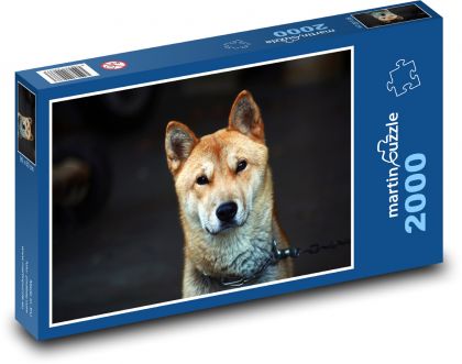 Hund - Puzzle - 2000 Teile