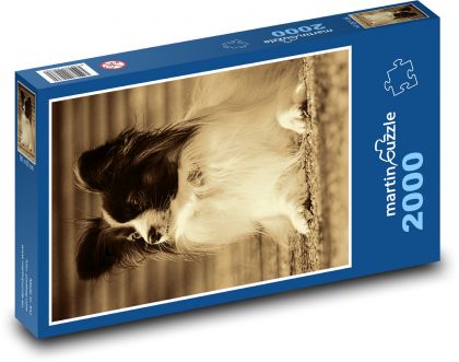 Mały pies w tonie sepii, Papillon - Puzzle 2000 elementów, rozmiar 90x60 cm
