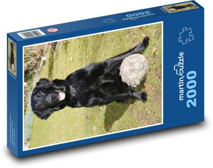 Futbalista psov - Puzzle 2000 dielikov, rozmer 90x60 cm 