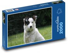 Lojalne oczy psa Puzzle 2000 elementów - 90x60 cm