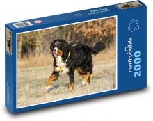 Jesenná prechádzka, Bernský salašnícky pes Puzzle 2000 dielikov - 90 x 60 cm