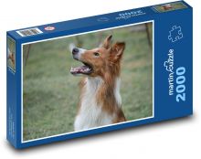 Kólia pripravená skočiť Puzzle 2000 dielikov - 90 x 60 cm