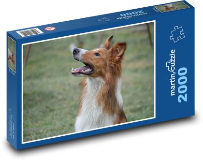 Kólia pripravená skočiť - Puzzle 2000 dielikov, rozmer 90x60 cm 