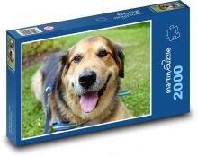 Uśmiech psa Puzzle 2000 elementów - 90x60 cm