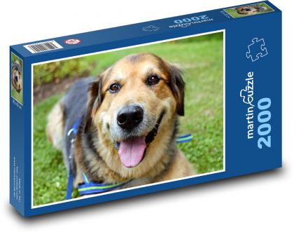 Psí úsmev - Puzzle 2000 dielikov, rozmer 90x60 cm 