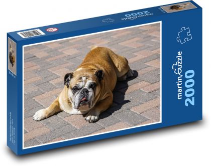 Cooler Hund, amerikanische Bulldogge - Puzzle - 2000 Teile