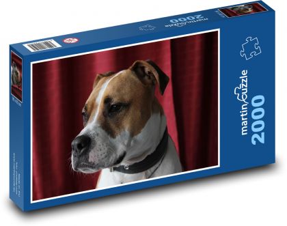 Pes - Pitbull - Puzzle 2000 dílků, rozměr 90x60 cm