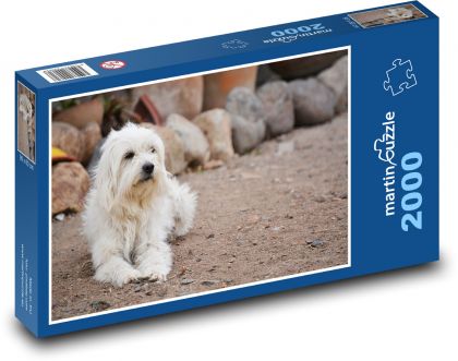 Biely chlpatý pes na dvore - Puzzle 2000 dielikov, rozmer 90x60 cm 