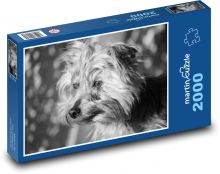 Psí portrét ve větru Puzzle 2000 dílků - 90 x 60 cm
