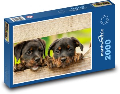 Pes - Rotvajler - Puzzle 2000 dielikov, rozmer 90x60 cm 