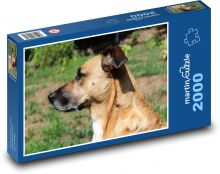 Loyaler Wachhund Puzzle 2000 Teile - 90 x 60 cm