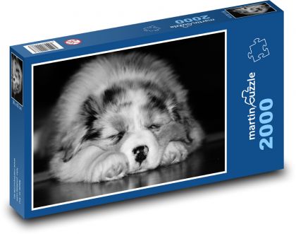 Spící huňatý pes - Puzzle 2000 dílků, rozměr 90x60 cm