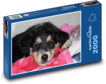 Schlafender Welpe in rosa Decke Puzzle 2000 Teile - 90 x 60 cm