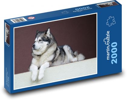 Pes - Aljašský malamut - Puzzle 2000 dílků, rozměr 90x60 cm