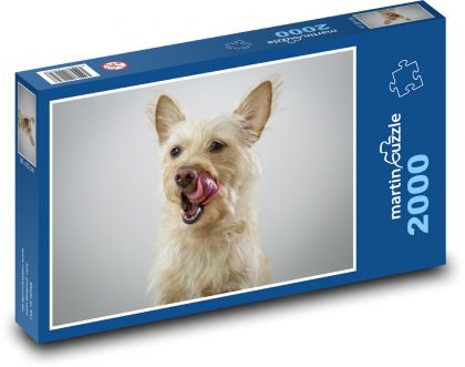 Lucky white swashbuckler with big tongue - Puzzle 2000 pieces, size 90x60 cm 