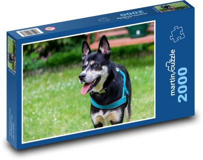 Cheerful doggy on a walk - Puzzle 2000 pieces, size 90x60 cm 