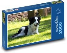 Sommervergnügen mit einem Hund Puzzle 2000 Teile - 90 x 60 cm
