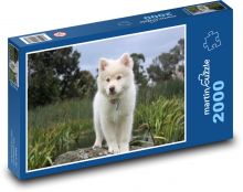 Dog Puzzle 2000 pieces - 90 x 60 cm