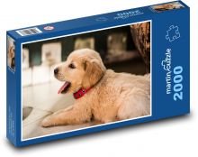 Zívající štěně zlatého retrievera Puzzle 2000 dílků - 90 x 60 cm