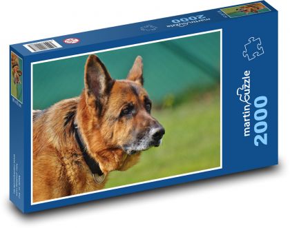 Dog, silent protector - Puzzle 2000 pieces, size 90x60 cm 