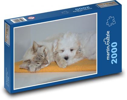 Kočka a pes - Puzzle 2000 dílků, rozměr 90x60 cm