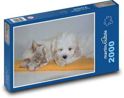 Sleeping cat and puppy - Puzzle 2000 pieces, size 90x60 cm 