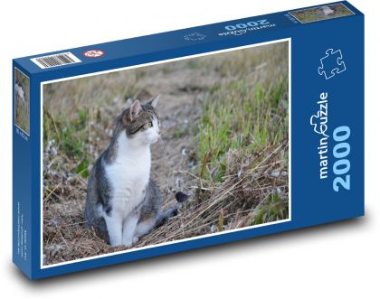 Mačka sediaca v tráve - Puzzle 2000 dielikov, rozmer 90x60 cm 