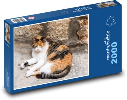 Kočka - Puzzle 2000 dílků, rozměr 90x60 cm