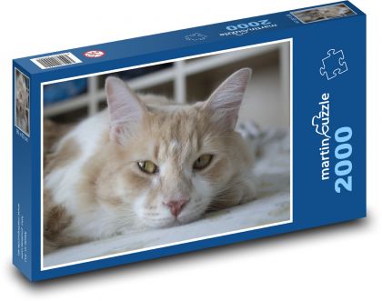 Cat - Puzzle 2000 pieces, size 90x60 cm 