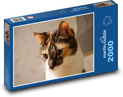 Kočka - Puzzle 2000 dílků, rozměr 90x60 cm