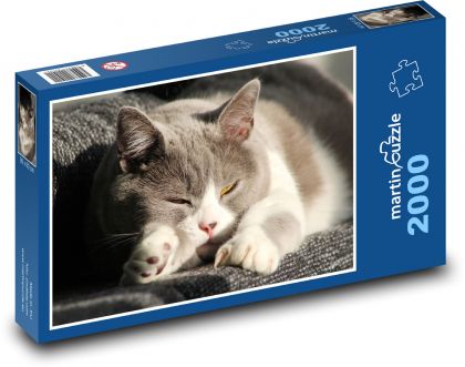 Schläfrige grau-weiße Katze - Puzzle - 2000 Teile